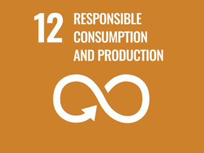 SDG 12 Responsible Consumption And Production