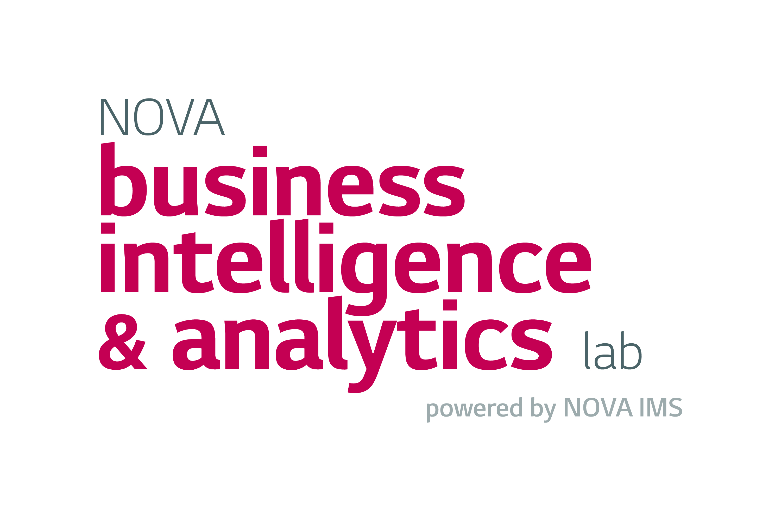 NOVA Business Intelligence & Analytics Lab image